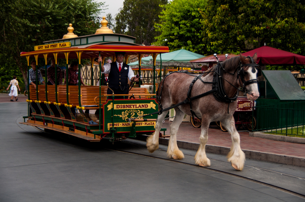 HorseDrawn Streetcars Disneyland Paris